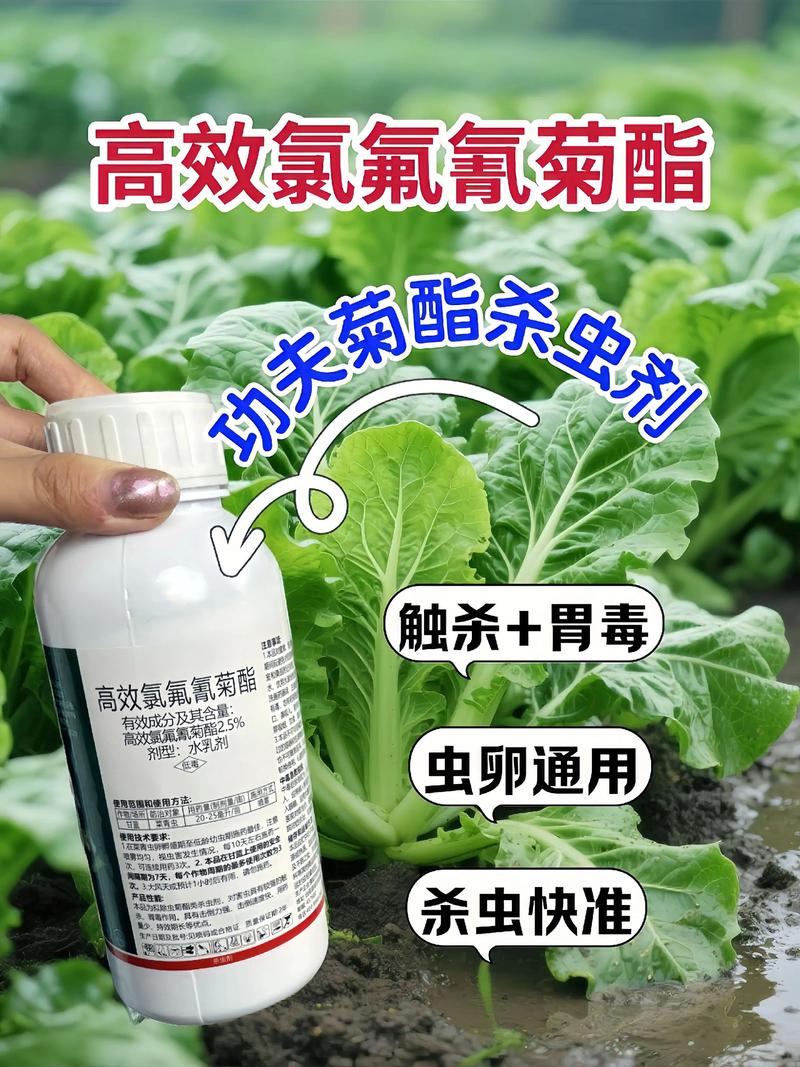 广东代生中心:农药对供卵代生妈妈的危害